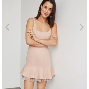 BCBG Brand New Dress (Never Worn)